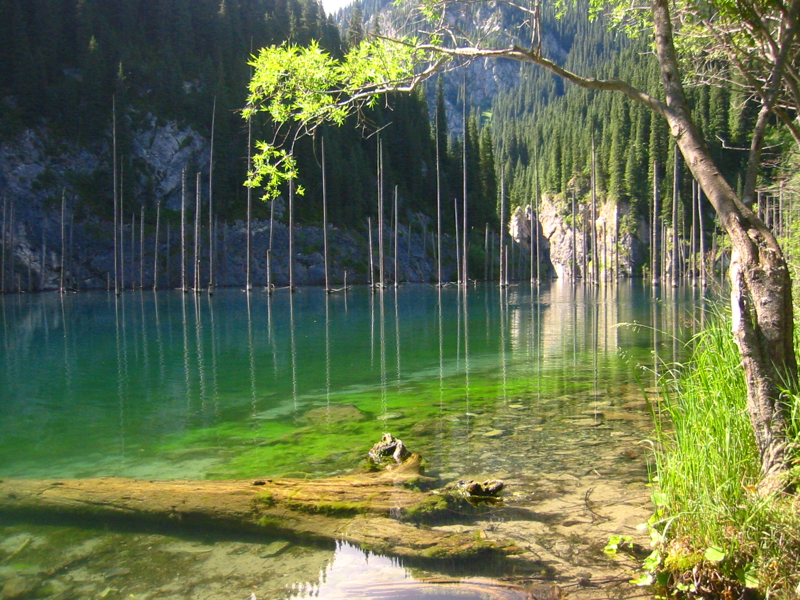 Kaindy Lake (Photo: alibeksamat.wordpress.com)